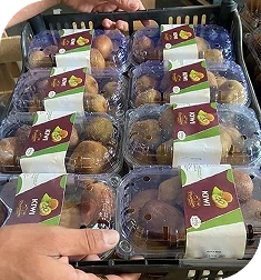 kiwi